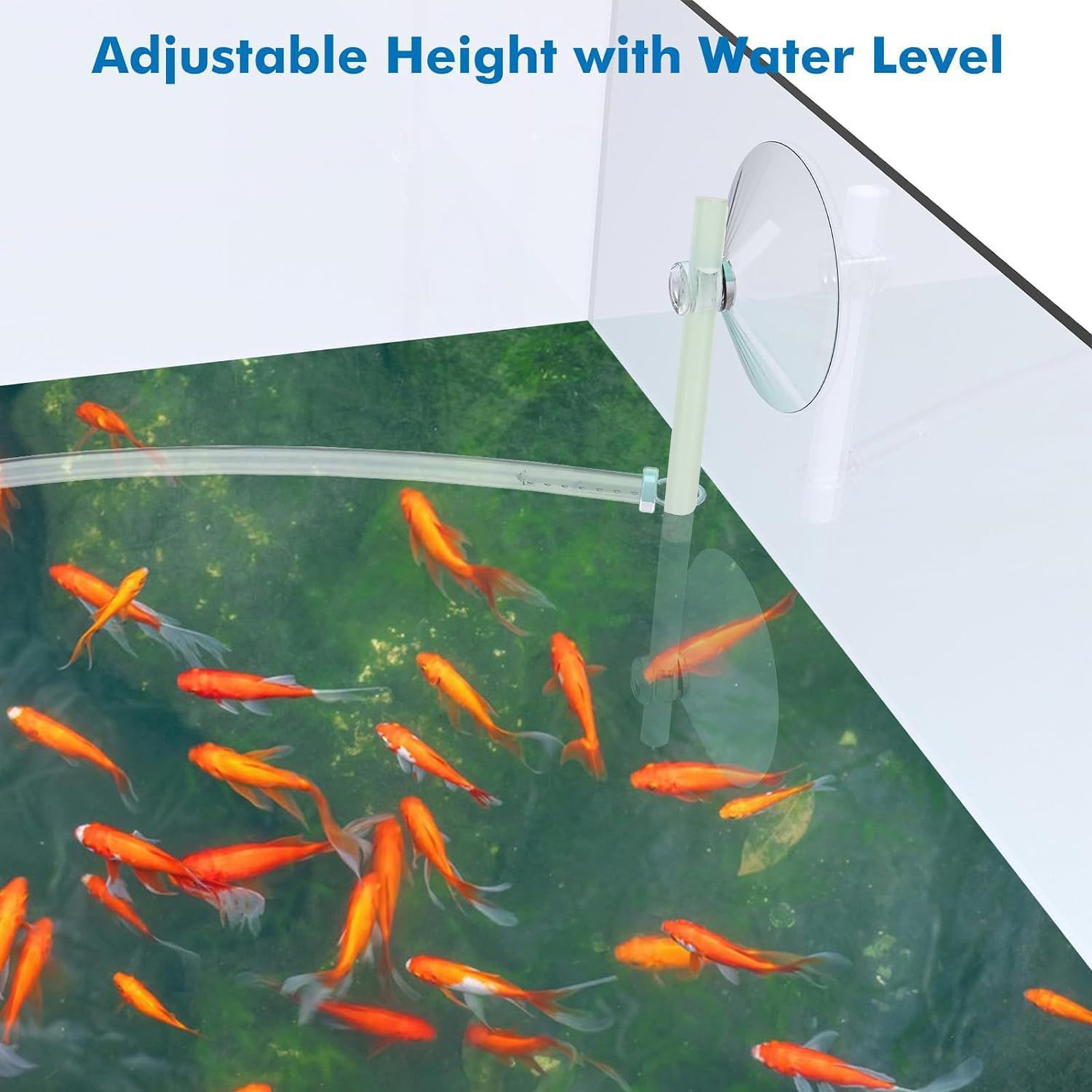 Floating Plant Fence for Fish  - огляд і ціна Home Improvement Fence